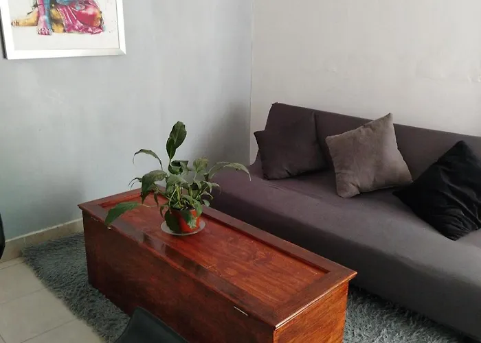 Apartment In The Heart Of Napoles Mexico City