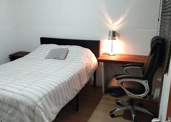 In The Heart Of Napoles Apartment Mexico City