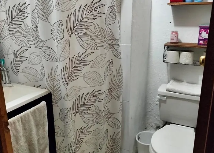 Apartment In The Heart Of Napoles Mexico City